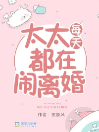 《太太每天都在闹离婚》小说封面