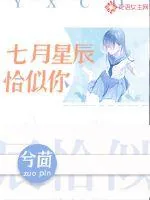 《七月星辰恰似你》小说封面