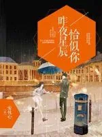 《昨夜星辰恰似你》小说封面