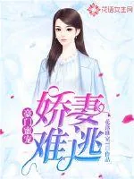 《豪门蜜宠：娇妻难逃》小说封面