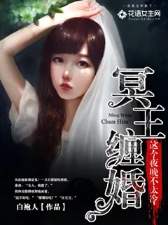 《冥王缠婚：这个夜晚不太冷》小说封面