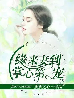 《缘来妻到,掌心第一宠》小说封面