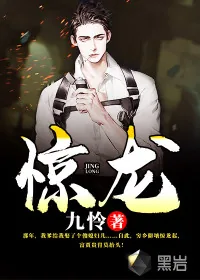 《惊龙》小说封面