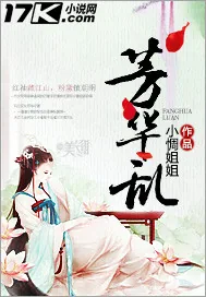 《芳华乱》小说封面