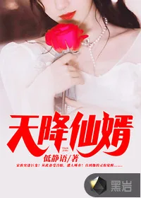 《天降仙婿》小说封面