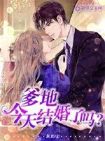 《爹地，今天结婚了吗？》小说封面