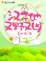 《汉子他又野又凶》小说封面