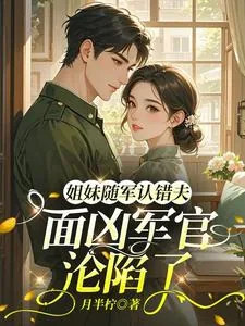 《姐妹随军认错夫:面凶军官沦陷了》小说封面