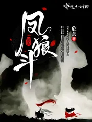《凤狼斗》小说封面