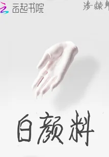 《白颜料》小说封面