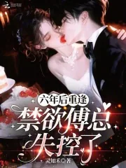 《六年后重逢,禁欲傅总失控了》小说封面