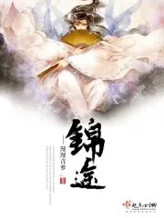《锦途》小说封面