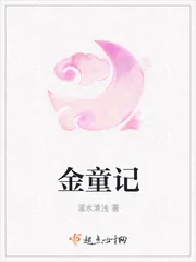 《金童记》小说封面
