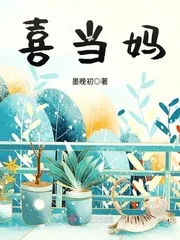 《喜当妈》小说封面