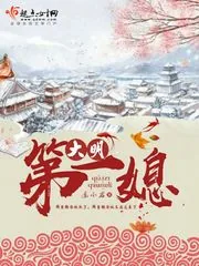 《大明第一媳》小说封面