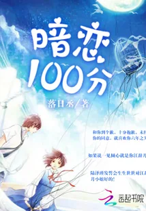 《暗恋100分》小说封面