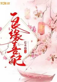 《良缘喜配》小说封面