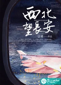 《西北望长安》小说封面