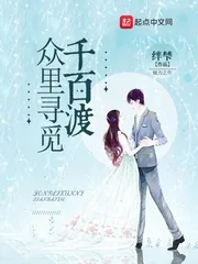 《众里寻觅千百渡》小说封面