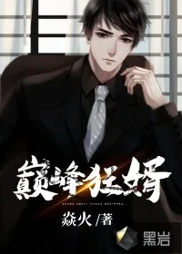 《巅峰狂婿》小说封面