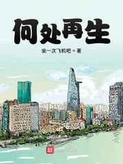 《何处再生》小说封面