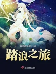 《踏浪之旅》小说封面