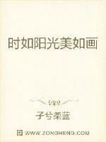 《时如阳光美如画》小说封面