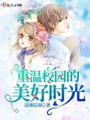 《重温校园的美好时光》小说封面