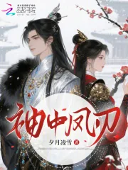 《袖中凤刃》小说封面