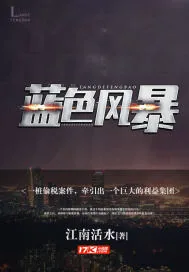 《蓝色风暴》小说封面