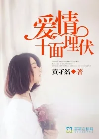 《爱情十面埋伏》小说封面