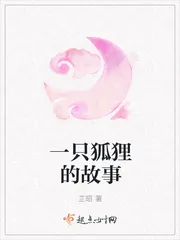 《一只狐狸的故事》小说封面