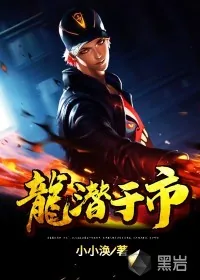《龙潜于市》小说封面