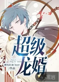 《超级龙婿》小说封面