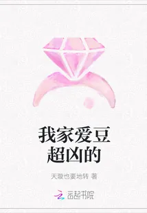 《我家爱豆超凶的》小说封面