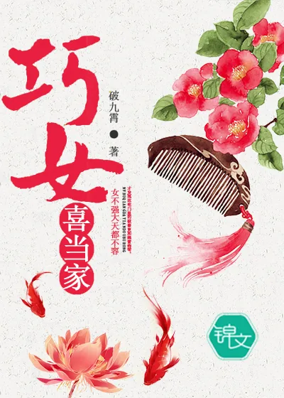 《巧女喜当家》小说封面