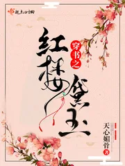 《穿书之红楼黛玉》小说封面