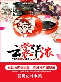 《云裳华浓》小说封面