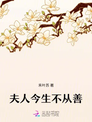 《夫人今生不从善》小说封面