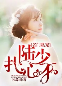 《名门私宠,陆少扎心不》小说封面