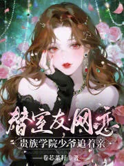 《替室友网恋,贵族学院少爷追着亲》小说封面