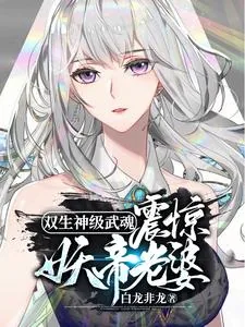 《双生神级武魂,震惊妖帝老婆!》小说封面