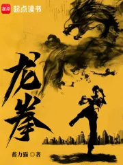 《龙拳》小说封面