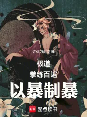 《极道:拳练百遍,以暴制暴》小说封面
