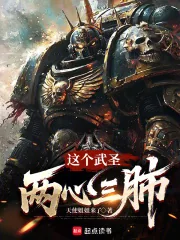 《这个武圣两心三肺》小说封面
