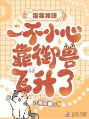 《猫猫我呀,一不小心靠御兽飞升了》小说封面