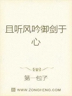 《且听风吟御剑于心》小说封面