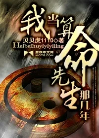 《我当算命先生那几年》小说封面