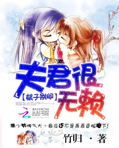 《娘子别闹：夫君很无赖》小说封面