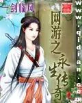 《网游之永生传奇》小说封面